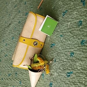 Kate Spade Straw And Leather Clutch